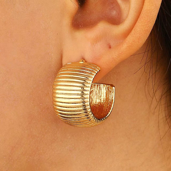 Alloy Metal Geometric Style Electroplated Women's Earrings