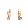 Alloy Micropaved Zircon Electroplated Women's Earrings