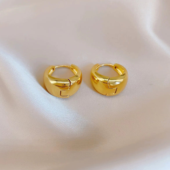 Alloy Silver Electroplated Drop Shape Simple Style Women's Earrings