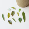 Antique Natural Style Leaf Pattern Epoxy Heat Shrinkable Pendant Jewelry Hairpin Accessories