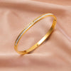 Basic Classic Style Round Titanium Steel Inlay Zircon Bangle