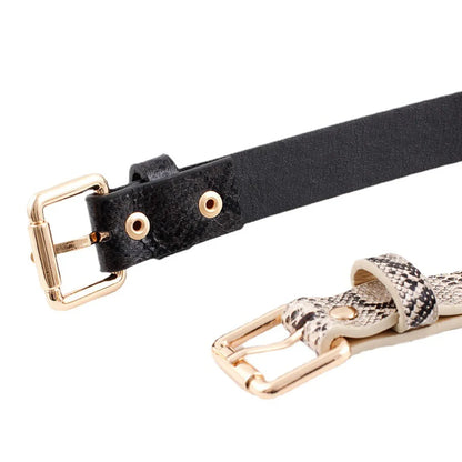 Basic Snakeskin Imitation Leather Alloy Women'S Leather Belts