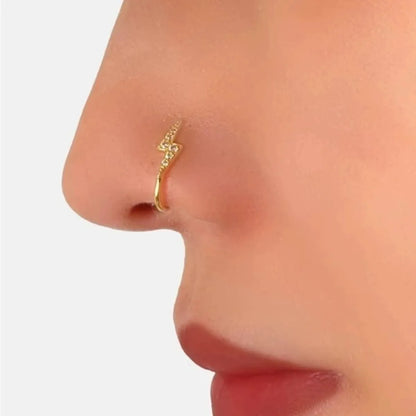 1 Piece Nose Rings & Studs Casual Simple Style Leaf Flower Fish Tail Sterling Silver Inlay Zircon White Gold Plated Gold Plated