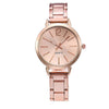 Casual Universal Quartz Watch With Plastic Case Iron Belt And Stainless Steel Buckle Round Dial