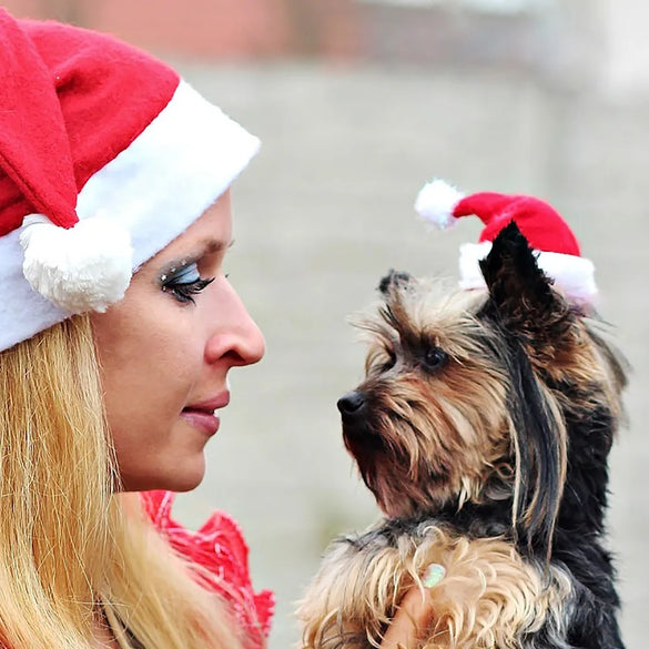 Christmas Flannel Plush Pet Hats Decorations Wholesale Gooddiy