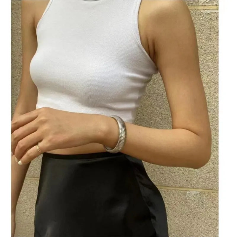 Classic Style Solid Color Titanium Steel Plating Bangle