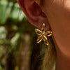 Earrings Stainless Steel Geometric Plants Flowers Electroplating Women