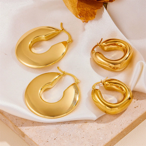 Earrings Titanium Steel Geometric Vacuum Furnace Plated