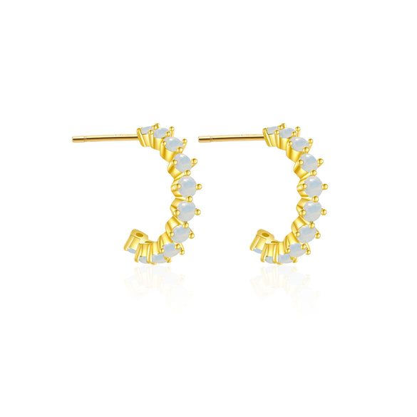 Elegant S925 Silver Electroplated Geometric Earrings For Women