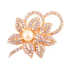 Elegant Star Flower Snowflake Imitation Pearl Alloy Rhinestone Women'S Brooches