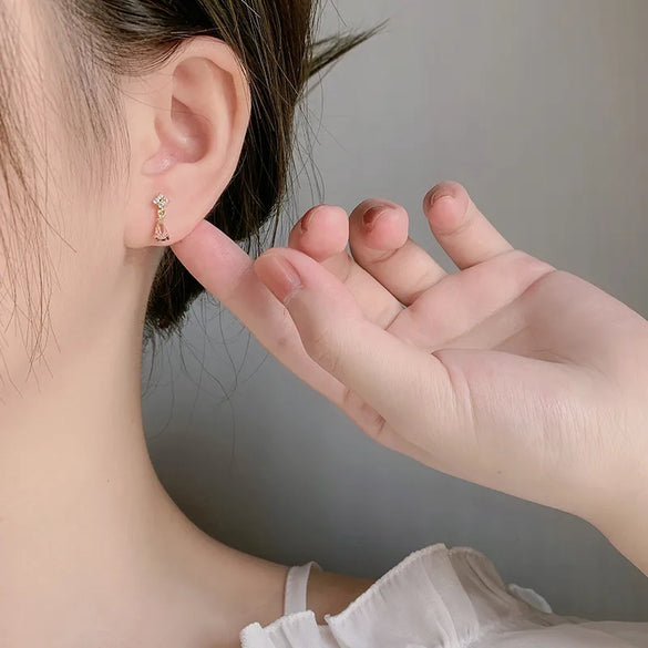 Elegant Water Droplets Copper Plating Zircon Drop Earrings 1 Pair