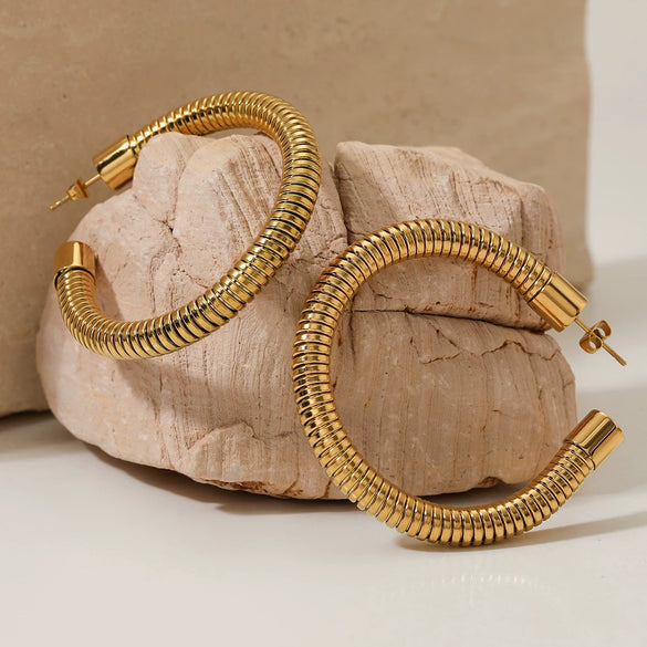 Exaggerated Cshaped Goose Throat Chain Earrings Stainless Steel Geometric Style For Women