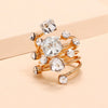 Exaggerated Flower Shaped Alloy Ring With Electroplated Original Design Unisex Statement Jewelry