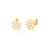 Fashion Flower Sterling Silver Inlay Zircon Ear Studs 1 Pair