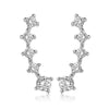 Fashion Geometric 925 Silver Zirconium Earrings With Electroplating