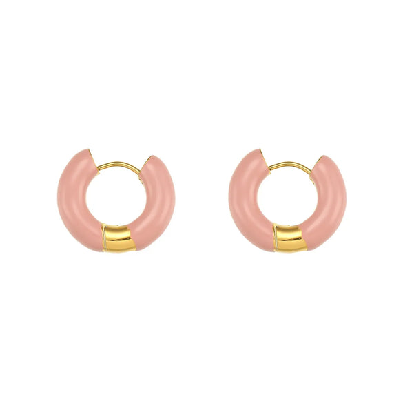 Fashion Geometric Stainless Steel Earrings Stoving Varnish Plating Stainless Steel Earrings