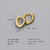 Fashion Geometric Sterling Silver Inlay Zircon Earrings 1 Pair