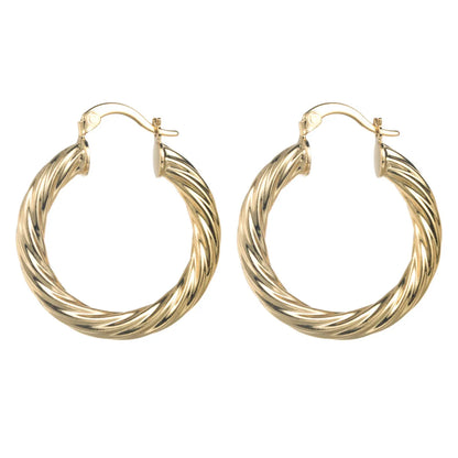 Fashion Geometric Titanium Steel Hoop Earrings Plating Stainless Steel Earrings