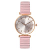 Fashion Ladies Watch Metal Elastic Band Alloy Case Quartz