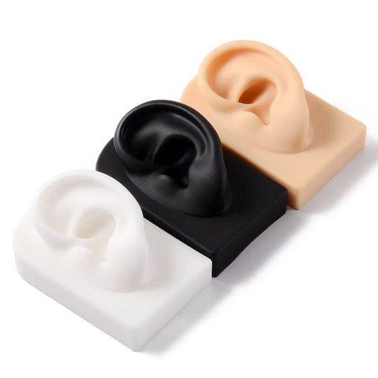 Fashion Rectangle Arylic Silica Gel Simulation Ear Model