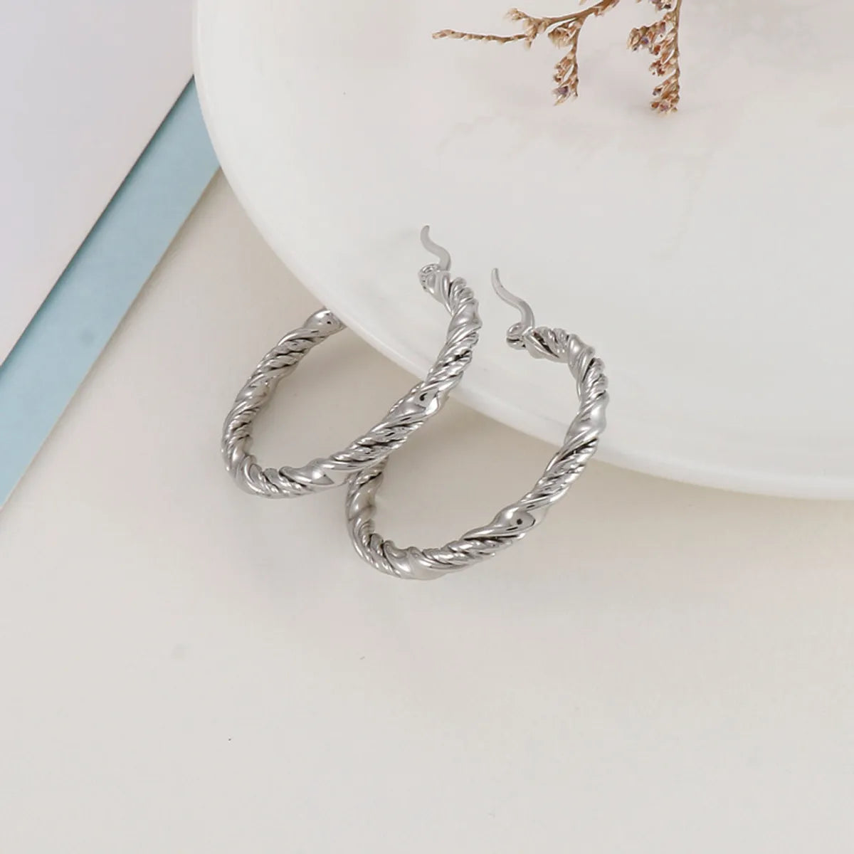 Fashion Round Titanium Steel Plating Hoop Earrings 1 Pair