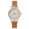 Fashion Women's Alloy Metal Strap Round Dial Quartz Watch With Magnet Strap