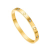 Fashionable Women's Titanium Steel Bracelet With Stainless Steel Buckle And Four Leaf Clover Design Electroplated In Vacuum Furnace