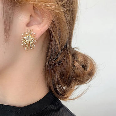 Firework Blasting Zircon Micro-Set Earrings New Tide Earrings Women