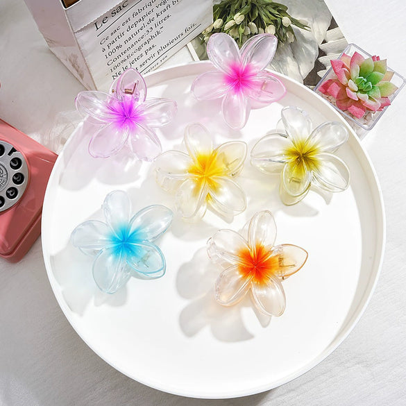 Flower Clip Hair Accessories Plumeria Pearlescent Frosted Baking Paint Little Fresh Style Women's