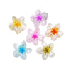 Flower Clip Hair Accessories Plumeria Pearlescent Frosted Baking Paint Little Fresh Style Women's