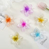 Flower Clip Hair Accessories Plumeria Pearlescent Frosted Baking Paint Little Fresh Style Women's