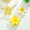 Flower Hairpin Plastic Resin Little Fresh Style Baking Paint Hair Accessories Shark Clip