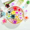 Flower Hairpin Plastic Resin Little Fresh Style Baking Paint Hair Accessories Shark Clip