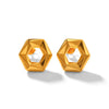 Geometric Stainless Steel Electroplated Women's Earrings