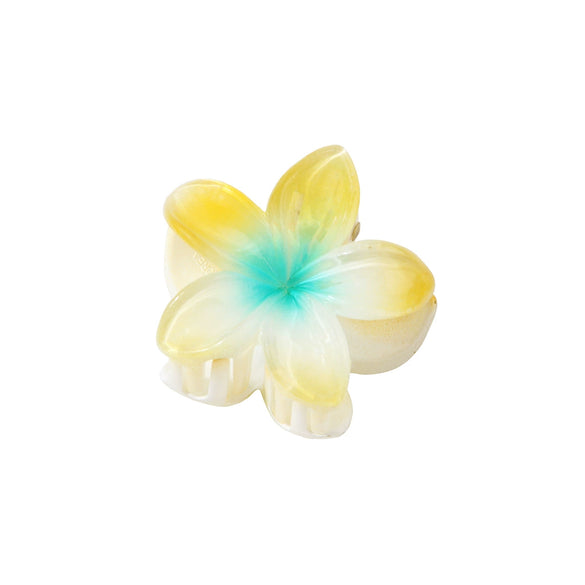 Hair Accessories Female Sweet Lovely Plant Flowers Egg Flower Grab Clip Baking Paint
