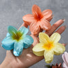 Hair Accessories Plumeria Shark Clip Handmade Highend Women's Jewelry