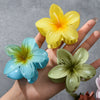 Hair Accessories Plumeria Shark Clip Handmade Highend Women's Jewelry