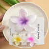 Hair Accessories Women's Gradient Egg Flower Highend Plastic Resin Gripper Hairpin With Baking Paint