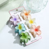 Hair Clip Flower Baking Paint Highend Women's Hair Accessories