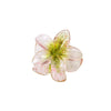 Hair Clip Plastic Resin Glitter Egg Flower Shape Baking Paint Women's