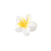 Hair Shark Clip Gradient Flower Baking Paint Women's Fashion Plant Flowers