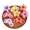 Handmade Highend Feel Plumeria Women's Hair Claw Clip Set