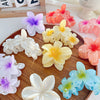 Handmade Highend Feel Plumeria Women's Hair Claw Clip Set