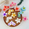 Handmade Highend Feel Plumeria Women's Hair Claw Clip Set