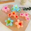Highend Flower Claw Clip Set With Baking Paint Plumeria Pattern Women's Hair Accessory