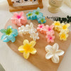 Highend Flower Claw Clip Set With Baking Paint Plumeria Pattern Women's Hair Accessory