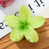 Highend Handmade Women's Plumeria Shark Hair Clips