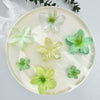 Highend Plumeria Women's Hair Clip Injection Molding Hair Accessories
