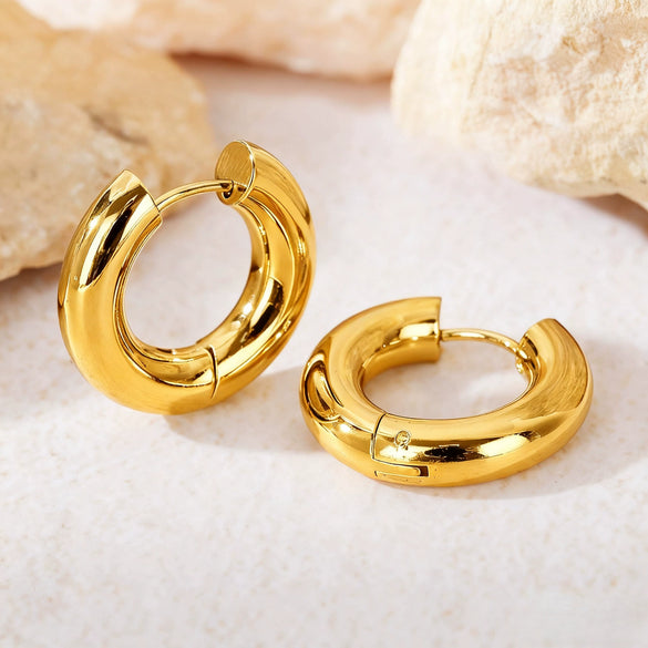 Hoop Earrings Titanium Steel Geometric Electroplating For Women Punk Style