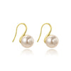 Imitation Pearl Women's Simple Geometric Ear Studs And Ear Hook Earrings